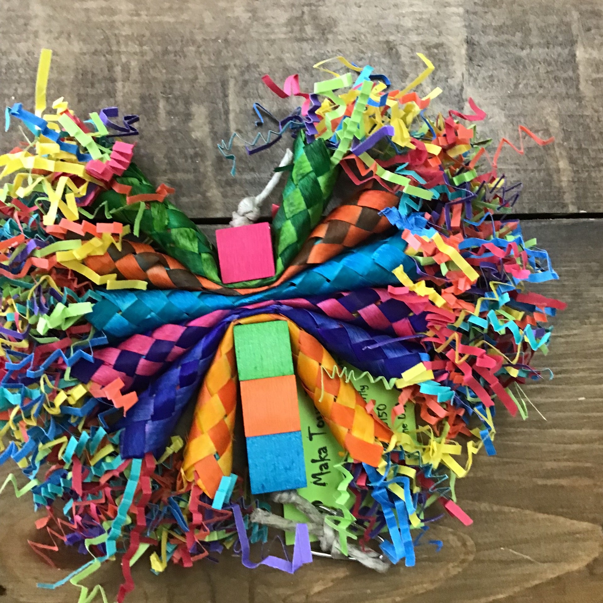 MT Butterfly Parrotopia mt-butterfly-parrotopia